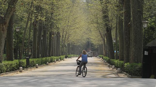 Parque de MarÃa Luisa, en Sevilla capital