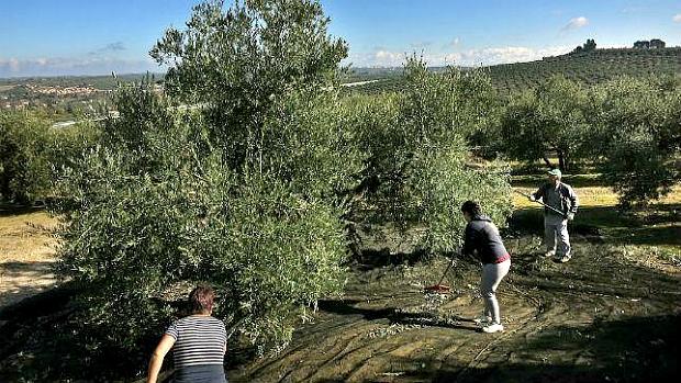 Los detenidos son en su mayoría jornaleros y empresarios agrícolas