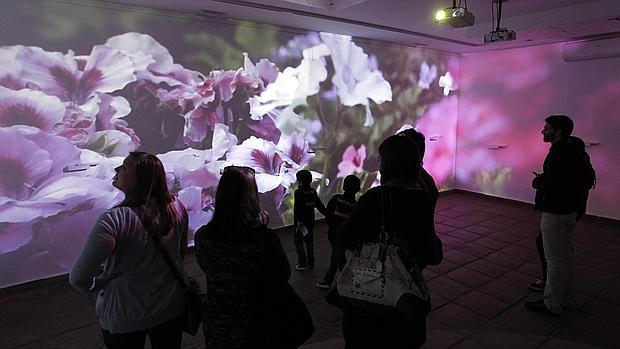 Varias personas, ayer disfrutando de «Viana essence»