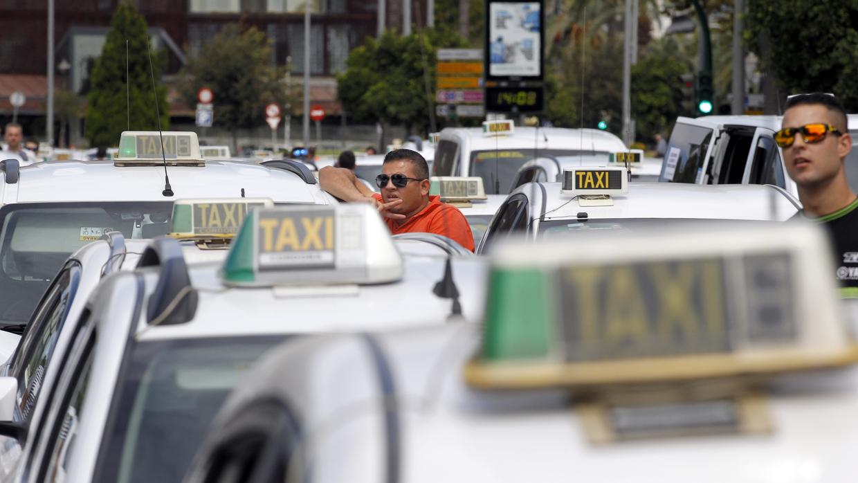 Taxis grandes en Córdoba ¿oportunidad de negocio o servicio público?