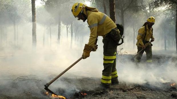 Bomberos forestales de la Junta apagando el último incendio en Doñana