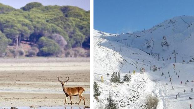 Doñana y Sierra Nevada: los dos Parques Nacionales más importantes de Andalucía