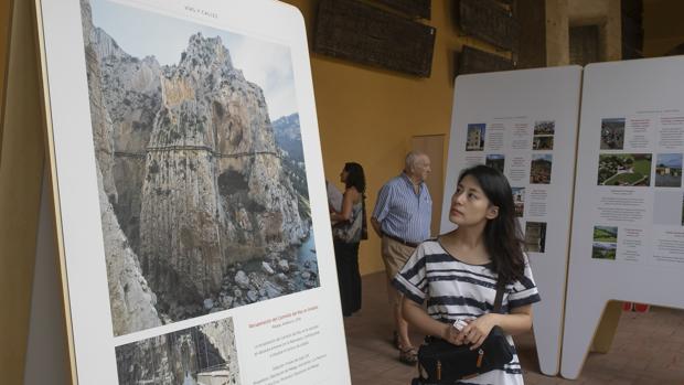 Una visitante contempla la muestra de Hispania Nostra en la Mezquita-Catedral