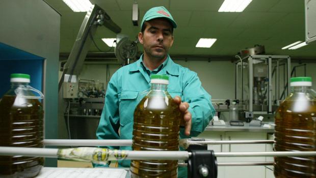 La producción de aceite podría alcanzar las dos toneladas por lo que es necesario que el consumo suba