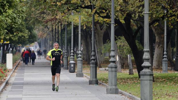 Una propuesta ciudadana planteó sin éxito que la avenida de Vallellano pasara a ser de las Fuerzas Armadas