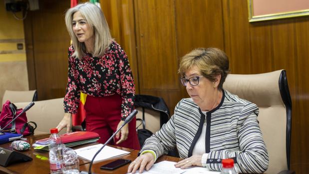 Patricia del Pozo y la presidenta de la comisión de Cultura, Ana Gil