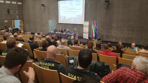 Imagen de la jornada sobre inmigración celebrada este martes en La Línea de la Concepción