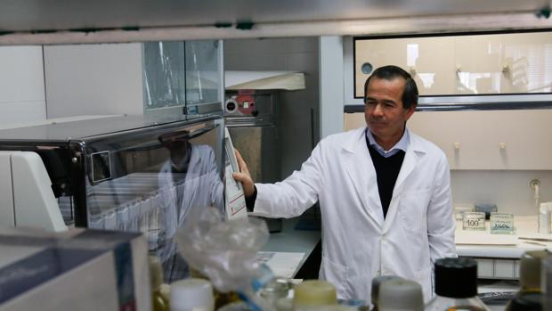José Pérez Arévalo, en su laboratorio de investigación