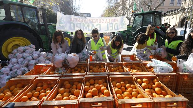 Protesta de Asaja por la caída de los prcecios de la naranja