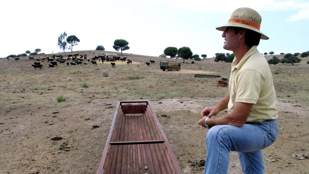 Un ganadero en su finca con falta de pastos por la sequía