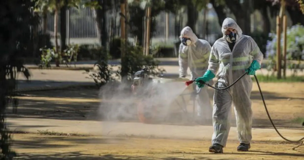 Gracia Continuo Afilar La Junta autoriza fumigar las zonas de procreación del mosquito que  transmite la fiebre del Nilo