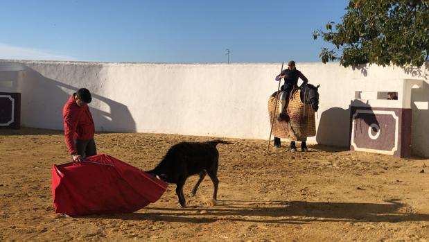 El diestro Jesulín de Ubrique, tentando una vaca en el Cortijo de la Sierra