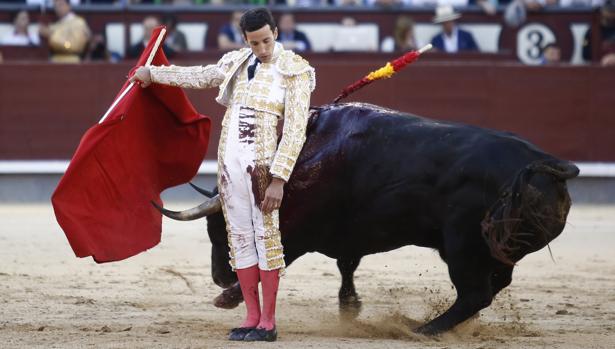 David de Miranda