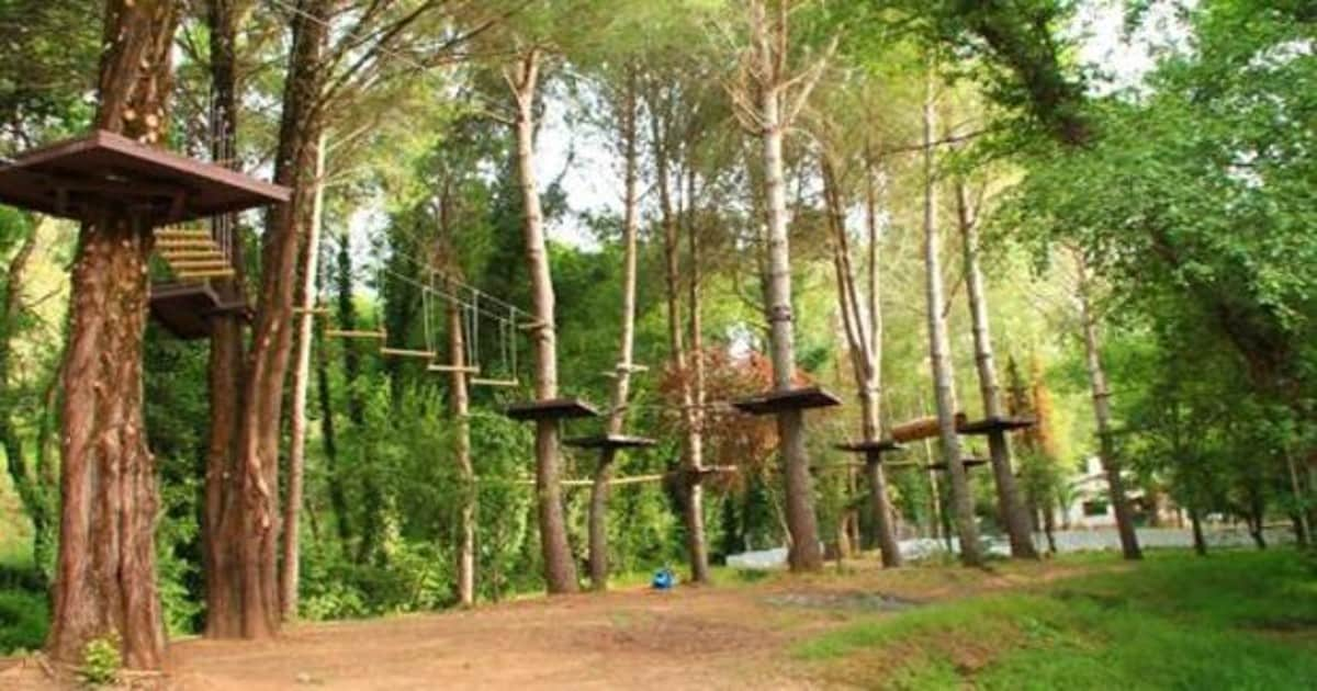 Diviértete en los bosques suspendidos de Sevilla