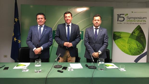 Antonio Vergel, Ricardo Domínguez y Carlos León en la presentación del Symposium