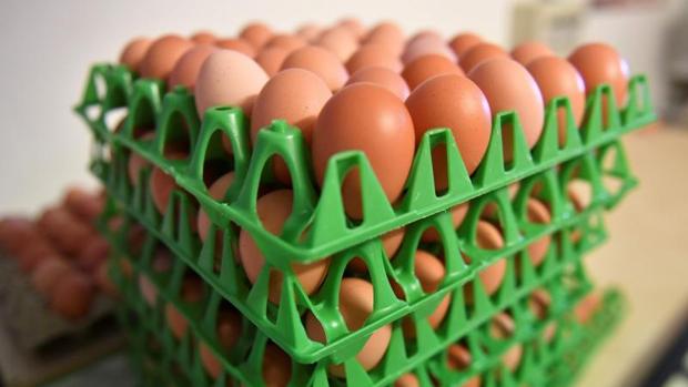 Huevos adulterados con fipronil y retirados del mercado en Rumanía en 2017