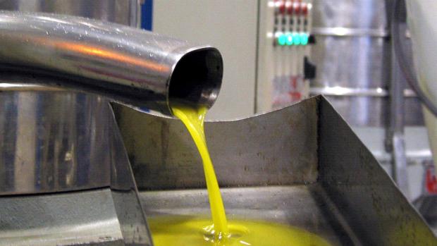 Se ha producido un nuevo récord de producción de aceite de olvida: 1,7 millones de toneladas