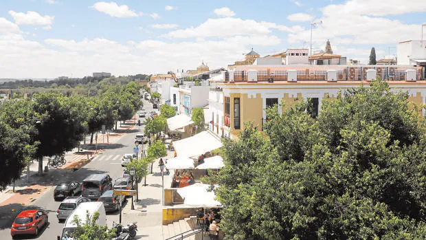 Sitios donde puedes comer cerca de la Feria de Córdoba
