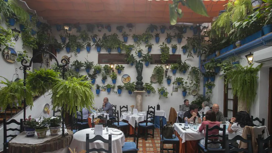 Patios de Córdoba 2023: dónde comer en cada ruta del Casco Histórico