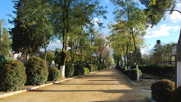 El parque de Consolación de Utrera será uno de los recintos que acogerá esta iniciativa