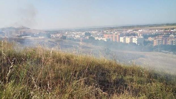 La ladera del cerro del carambolo ha sufrido tres incendios en menos de dos semanas