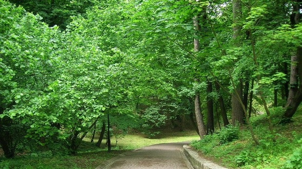Vivir cerca de parquesy jardines reducereducía la carga de trabajo del corazón