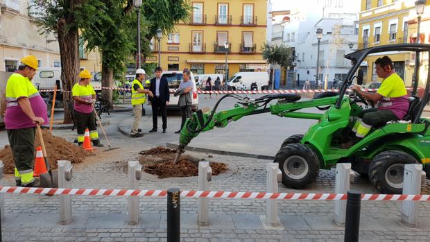 Operarios municipales, este lunes en la Plaza del Pumarejo de Sevilla