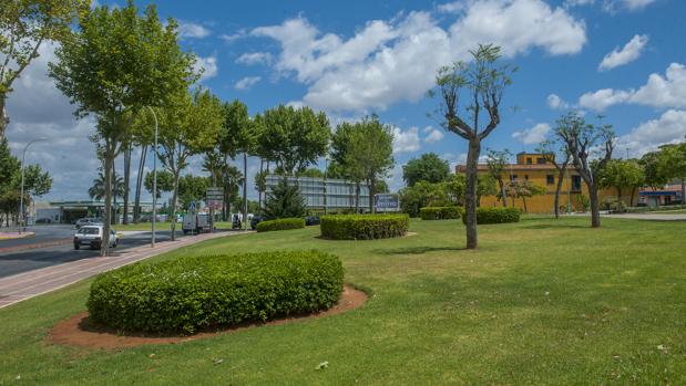 Zona verde en un entorno residencial