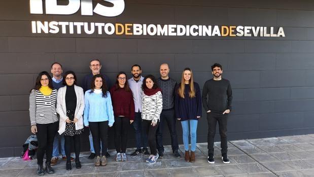 Equipo del Instituto de Biomedicina de Sevilla que ha realizado el estudio