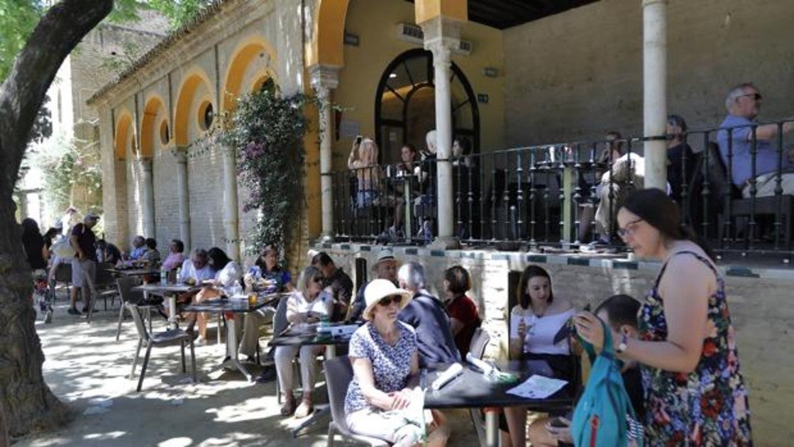 Polémica adjudicación de la cafetería del Real Alcázar de Sevilla a una  «oferta anormal»