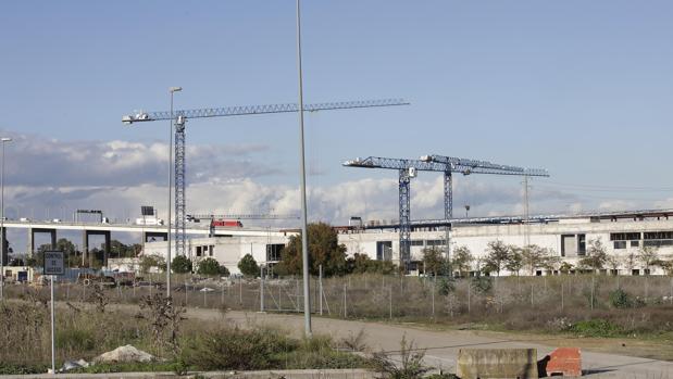 Obras del centro comercial ubicado en Palmas Altas